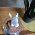 Bullterrier-busto3.jpg Bullterrier