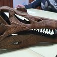 spinosaurus-aegyptiacus-skull-3d-print-model-2.jpg Spinosaurus skull 3d print