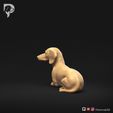 Dachshund-Miniature-Smooth-Haired-Pose-09-Dog-3D-Print-7s.jpeg Dachshund Miniature Smooth Haired Pose 09