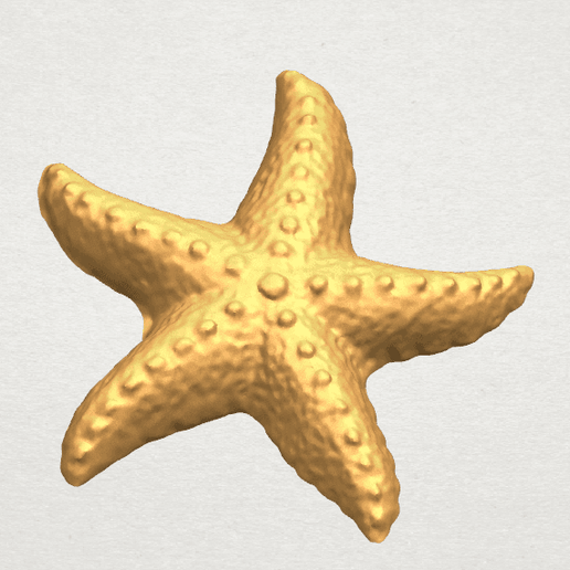 TDA0609 Starfish 03 A02.png -Datei Starfish 03 kostenlos herunterladen • Objekt zum 3D-Drucken, GeorgesNikkei