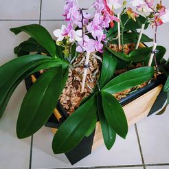 with_orchids.jpg Fichier STL gratuit "Lina Woodbox" Modular box・Plan à télécharger et à imprimer en 3D