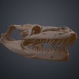 snake-skull-python-stl-3d-print-3demon.188.jpg Realistic Snake Skull Collection