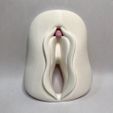 1.jpeg Fichier STL ANATOMIE DU CLITORIS・Objet pour impression 3D à télécharger