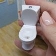 20230321_002821.jpg miniature dollhouse toilet