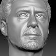 18.jpg Tony Stark Robert Downey Jr Iron Man bust for 3D printing