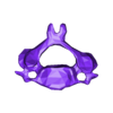 VertebralColumn42.stl Skeleton vertebral column torso bones (90 bones)