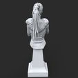 senuarender2.844.jpg senua hellblade fan art 3D print model