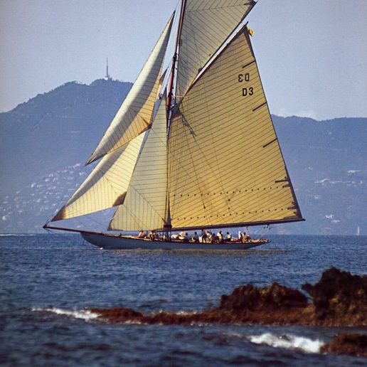 9B648853-6A23-455F-99B2-BE5FEBDC403C.jpeg Tuiga Model 60cm