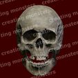 eric-valeck-3-skull-color.jpg Skull - Skull STL