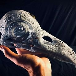 preview5.jpg Filigree Anatomical Raven Skull