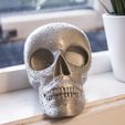 IMG_4731.JPG Skull