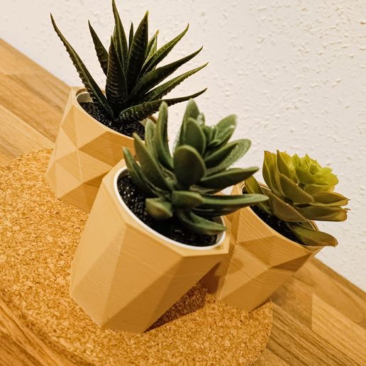 IKEA FEJKA Flower Pot Succulent Planter Geometric Design 3D File for  Cults