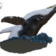 Humpback-Whale-Head-off-the-Water-color-2.jpg Humpback Whale Head off the Water 3D printable model