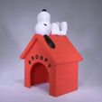 snoopy angle1.jpg Snoopy