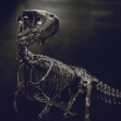DSC_0325_Cults.jpg Fichier OBJ Life size baby T-rex skeleton - Part 10/10・Modèle pour imprimante 3D à télécharger
