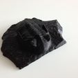 Black_Flat_Trilobite_display_large.jpg Free STL file Trilobite (P149623)・3D printer design to download, MuseumVictoria