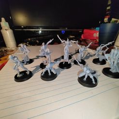 Eldar Troupe