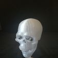 IMG_20210330_155735.jpg SkullLooper