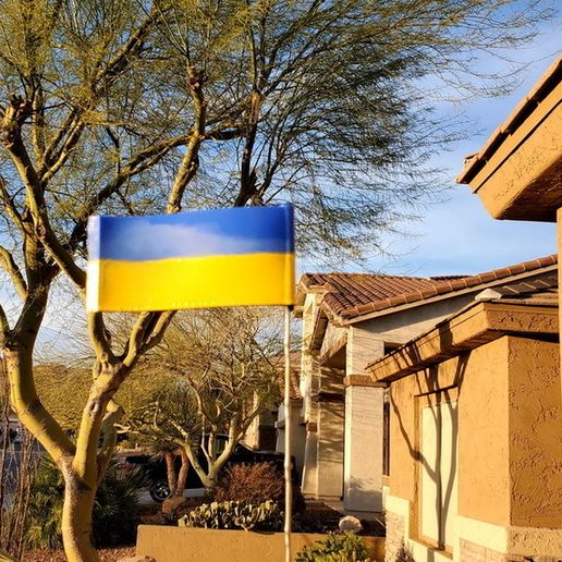 20220314_180655.jpg Bandeira para antena de carro