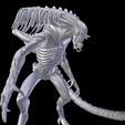 Captura-de-pantalla-720.png Predalien Abscheulichkeit hohe Detail xenomorph