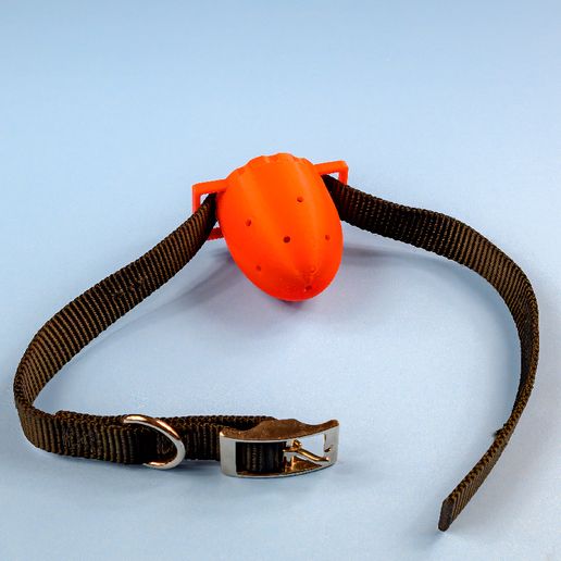 Үлкен бөкселерді анальды секс көру