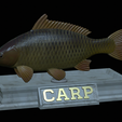 carp-statue-17.png fish carp / Cyprinus carpio statue detailed texture for 3d printing