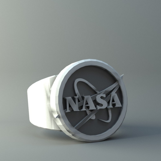 Ring Nasa 3D model