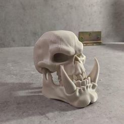 IMG_20200620_110520_069.jpg STL file ORC SKULL・Model to download and 3D print