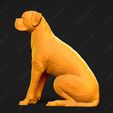 2530-Boxer_Pose_05.jpg Boxer Dog 3D Print Model Pose 05