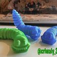 2022-04-29_11-16-39_HDR_.jpg Articulated Happy Worm - FLEXI PRINT-IN-PLACE