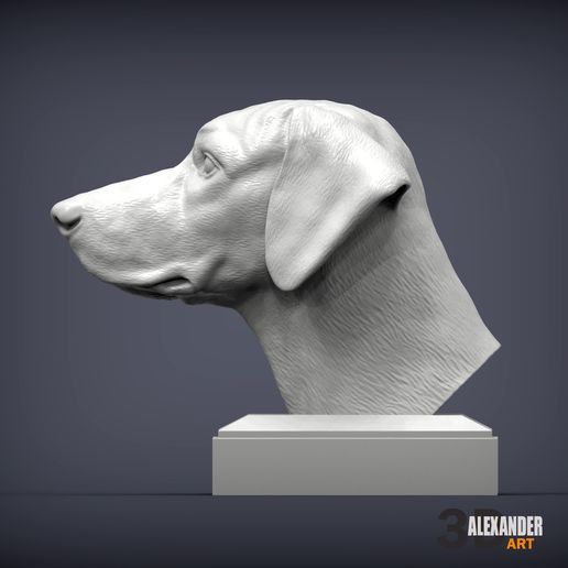 rhodesian-ridgeback-bust2.jpg Rhodesian ridgeback bust 3D print model