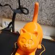 WhatsApp-Image-2026-05-03-at-13.14.59-1.jpeg Horace, the desktop kitten  (Support-Free / Multicolor)