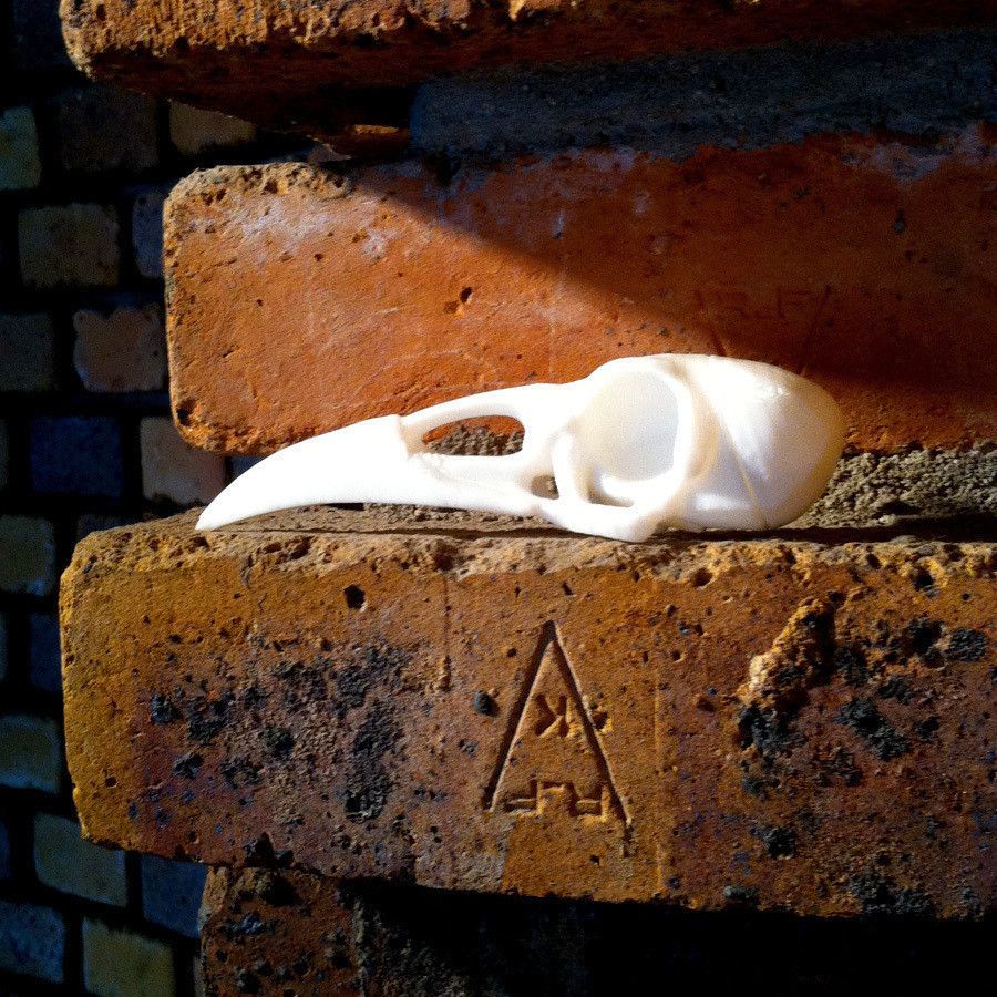 3.jpg Archivo STL gratis Boneheads: Raven - Kit de cráneo - PROMO - 3DKitbash.com・Modelo imprimible en 3D para descargar, Quincy_of_3DKitbash
