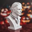 1.jpg Download free STL file Michael Myers - Halloween • 3D print object, stonestef