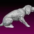 15.jpg Dog statue Spaniel