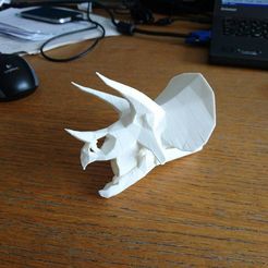 127ed0cda7725c983ed32c732ae10894_display_large.jpg Free STL file Low Poly Triceratops Skull Flash Hider・3D printer model to download