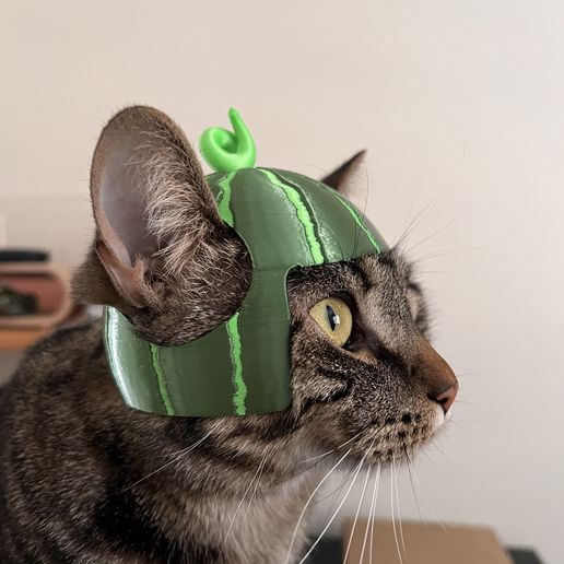 Watermelon-Hat-3.jpeg 🍉🍉Sombrero de gato de sandía 🍉🍉