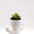 20190519_171123.jpg Strong boy fat potted plants and stl for 3D printing