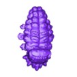 Cocoon.stl Cocindeos (New Insectoid specie for your tablettop RPG'S)