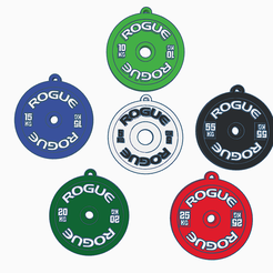 Captura-de-pantalla-2023-12-24-214557.png Rogue Disc Key Ring Kit