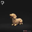 Dachshund-Miniature-Smooth-Haired-Pose-08-Dog-3D-Print-9s.jpeg Dachshund Miniature Smooth Haired Pose 08