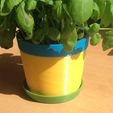 IMG_0880.jpg Pot Planter US and UK Definition - Basic Planter Pot For A Pot Plant in UK - Or A Pot Plant USA Style