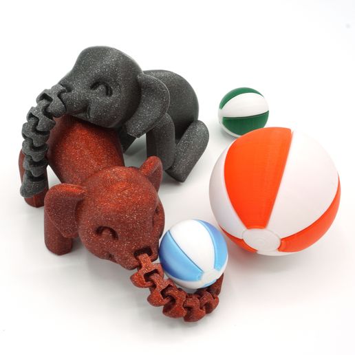 DSC01132 copia.jpg Flexiphant