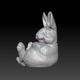 ra1111.jpg Cute rabbit - decorative rabbit - beauty rabbit