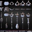 Human-Skeleton-IMM-Brushes-Sculpted-By-Yacine-BRINIS-Set-003.jpg Human Skeleton IMM Brushes
