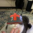 IMG_0284.jpg Cat War Helmet