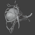 7.png 3D Model of Complete Eye Anatomy