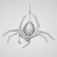 s04.jpg Spider (Friendly)