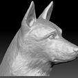 13.jpg German Shepherd head for 3D printing