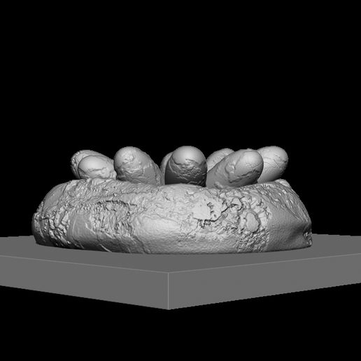 2-EGG.jpg гнездо динозавра с яйцами